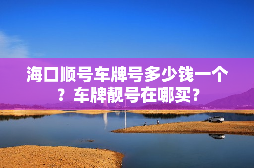 海口顺号车牌号多少钱一个？车牌靓号在哪买？-第1张图片-车牌靓号网