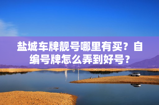 盐城车牌靓号哪里有买？自编号牌怎么弄到好号？-第1张图片-车牌靓号网