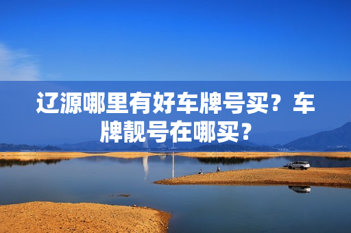 辽源哪里有好车牌号买？车牌靓号在哪买？-第1张图片-车牌靓号网