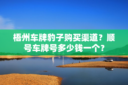 梧州车牌豹子购买渠道？顺号车牌号多少钱一个？-第1张图片-车牌靓号网