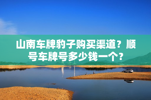 山南车牌豹子购买渠道？顺号车牌号多少钱一个？-第1张图片-车牌靓号网