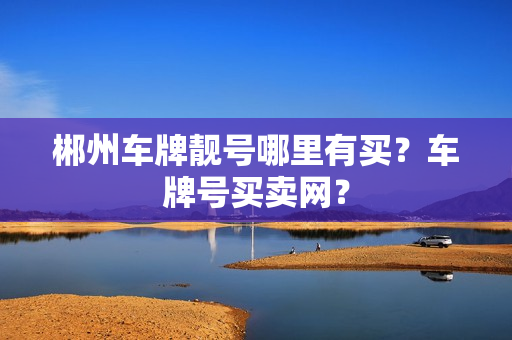 郴州车牌靓号哪里有买？车牌号买卖网？-第1张图片-车牌靓号网