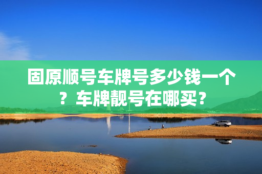 固原顺号车牌号多少钱一个？车牌靓号在哪买？-第1张图片-车牌靓号网