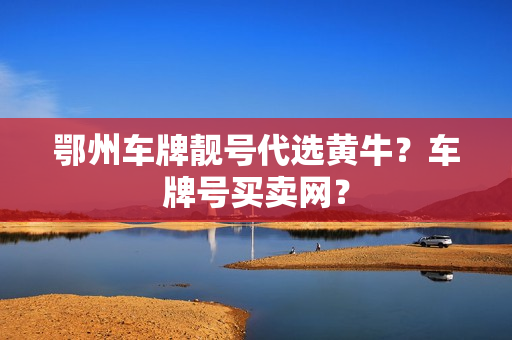 鄂州车牌靓号代选黄牛？车牌号买卖网？-第1张图片-车牌靓号网