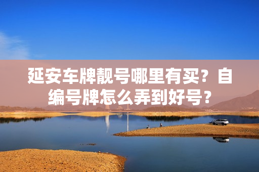 延安车牌靓号哪里有买？自编号牌怎么弄到好号？-第1张图片-车牌靓号网