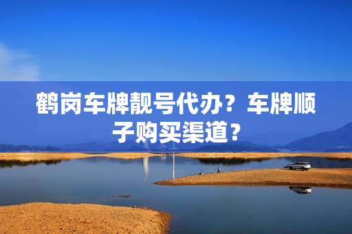 鹤岗车牌靓号代办？车牌顺子购买渠道？-第1张图片-车牌靓号网