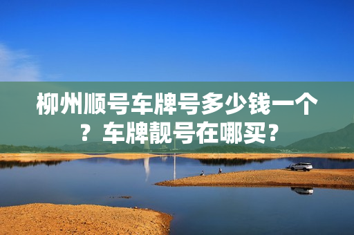 柳州顺号车牌号多少钱一个？车牌靓号在哪买？-第1张图片-车牌靓号网