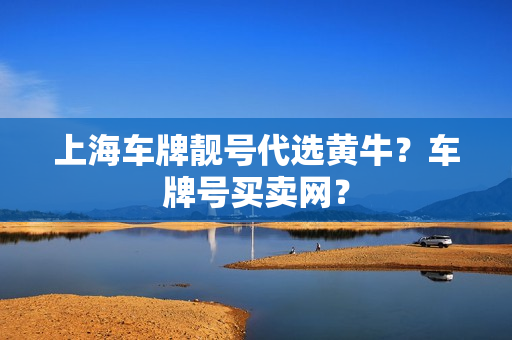 上海车牌靓号代选黄牛？车牌号买卖网？-第1张图片-车牌靓号网