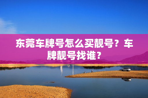 东莞车牌号怎么买靓号？车牌靓号找谁？-第1张图片-车牌靓号网