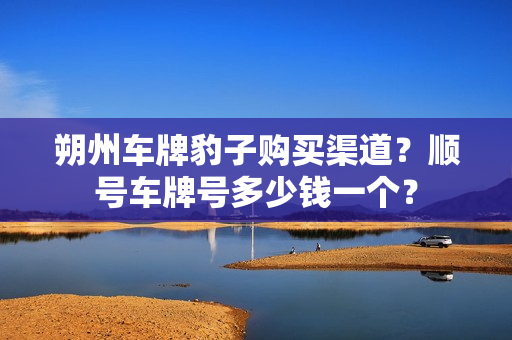 朔州车牌豹子购买渠道？顺号车牌号多少钱一个？-第1张图片-车牌靓号网