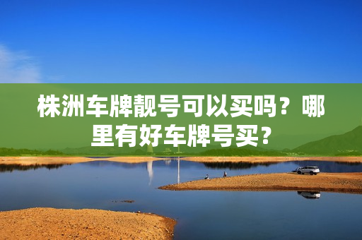 株洲车牌靓号可以买吗？哪里有好车牌号买？-第1张图片-车牌靓号网