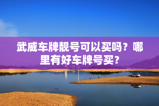 武威车牌靓号可以买吗？哪里有好车牌号买？-第1张图片-车牌靓号网