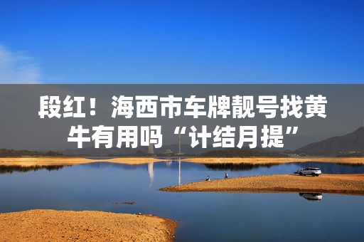 段红！海西市车牌靓号找黄牛有用吗“计结月提”-第1张图片-车牌靓号网