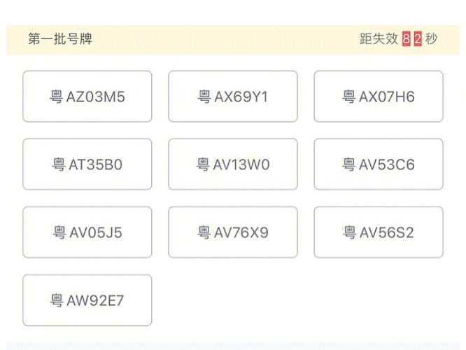 定规！广东车牌靓号代选“白素约”-第2张图片-车牌靓号网