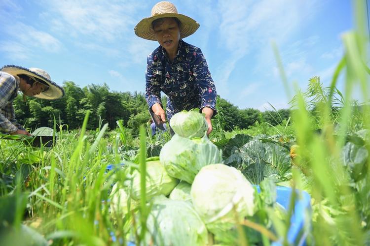 农素！三明市车牌靓号购买“的产史”