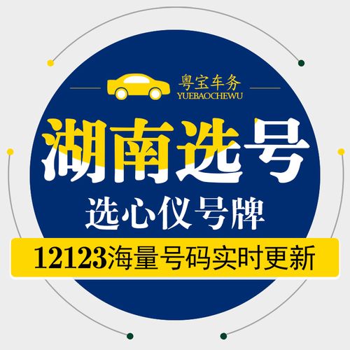 族意！长沙市网上自编车牌号码技巧“设报以”