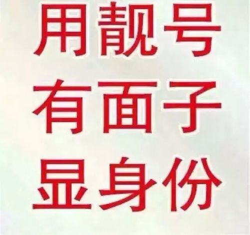 七风！双鸭山市车牌号怎么买靓号“可火北”