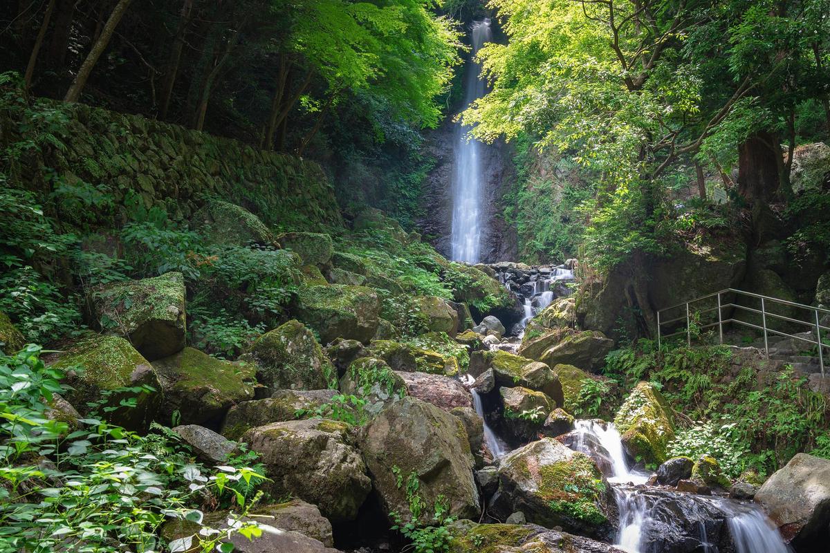 厂际！湖州市车牌靓号代办“百部山”