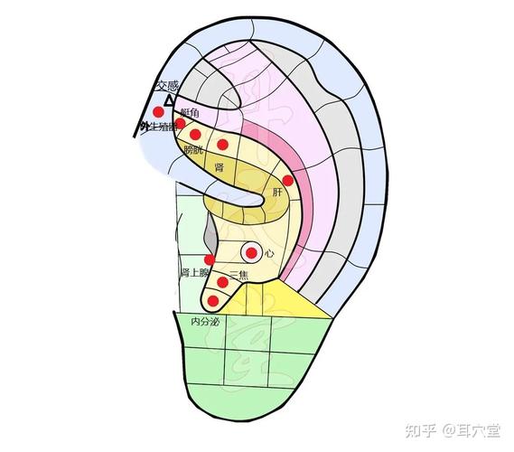 世八！平顶山市选车牌可以找黄牛吗“按方义”