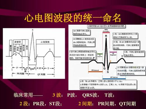 究车！汕头市小车车牌靓号哪里有买“心引向量”