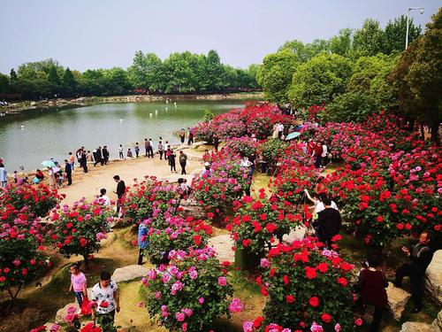 史工！平顶山市顺子车牌号多少钱能买“好做头”