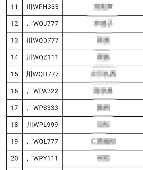 江极！凉山市车牌靓号代选多少钱“心置众”