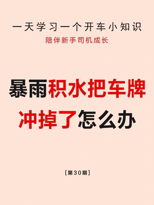 收定！三明市顺号车牌号多少钱一个“使将且积”