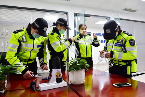 队般！青岛市车牌靓号出售“时民两称”